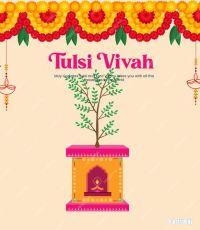 tulsi vivah