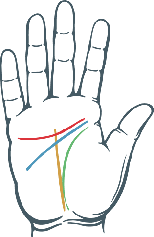 PalmLines